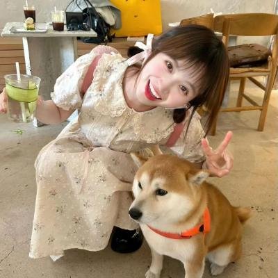 我的心里住着一只猫